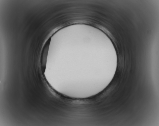 X0000083060898200703022131