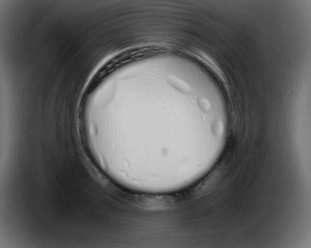 X0000083060899200703022131