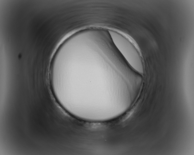 X0000083060903200703022131