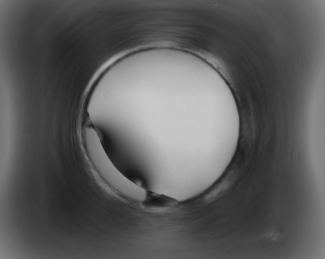 X0000083060904200703022131