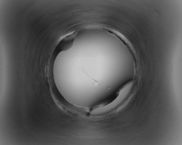 X0000083060905200703022131