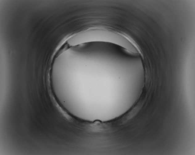 X0000083060906200703022131