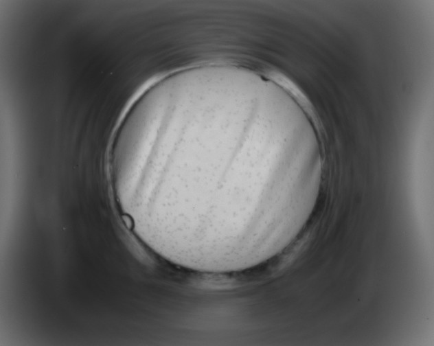 X0000083060907200703022131