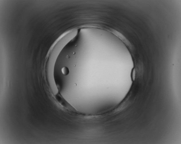 X0000083060908200703022131