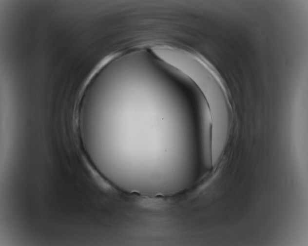 X0000083060909200703022131