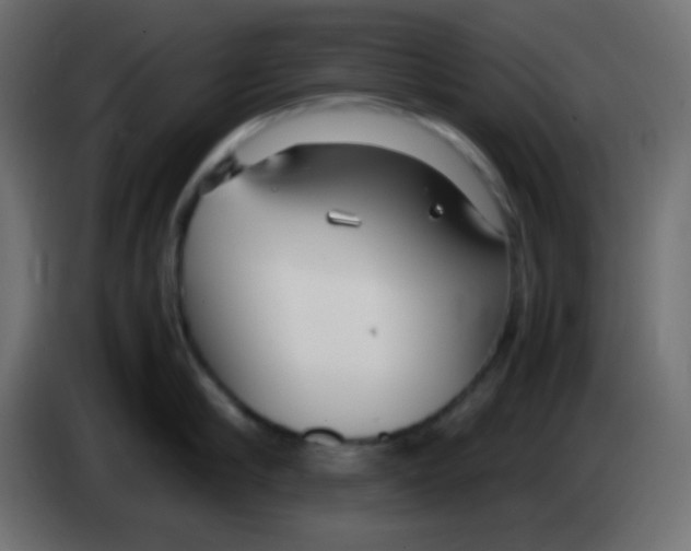 X0000083060910200703022131