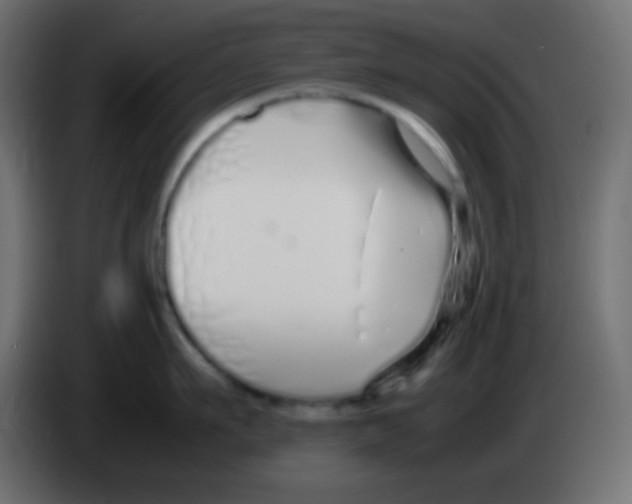 X0000083060911200703022131