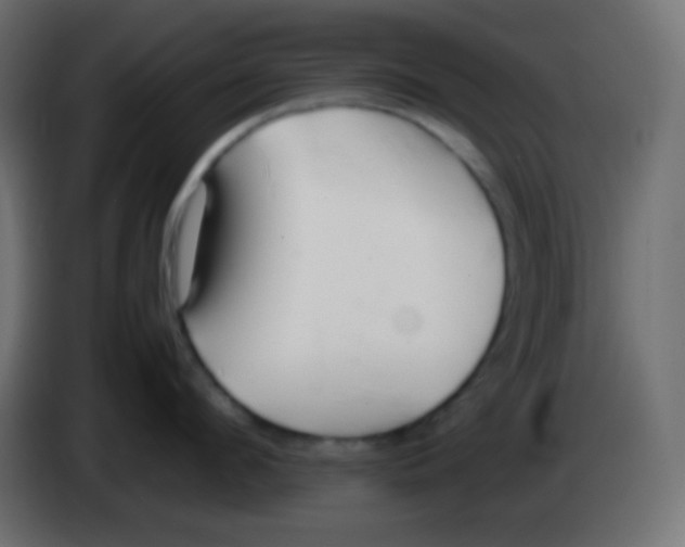 X0000083060912200703022131