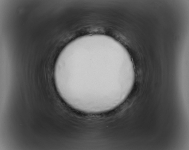 X0000083060913200703022130