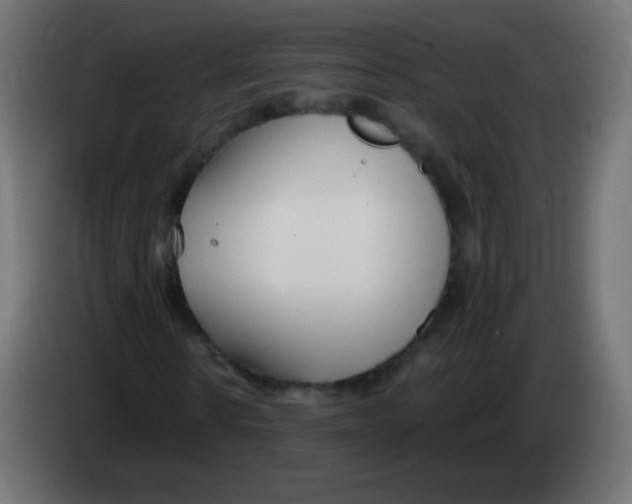 X0000083060914200703022130