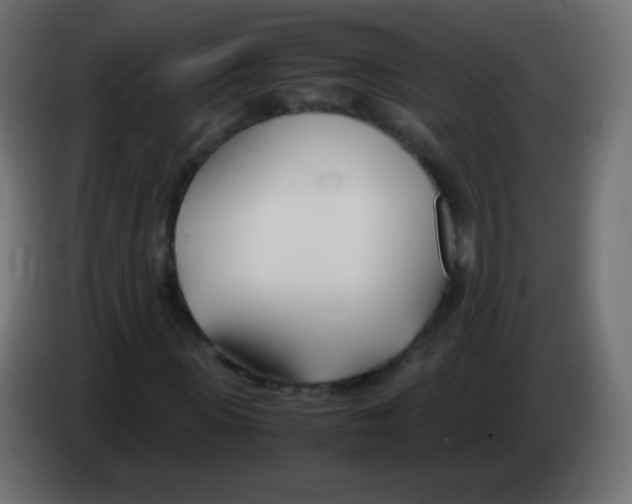 X0000083060915200703022130