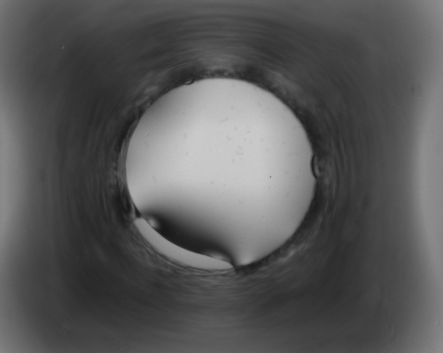 X0000083060916200703022130