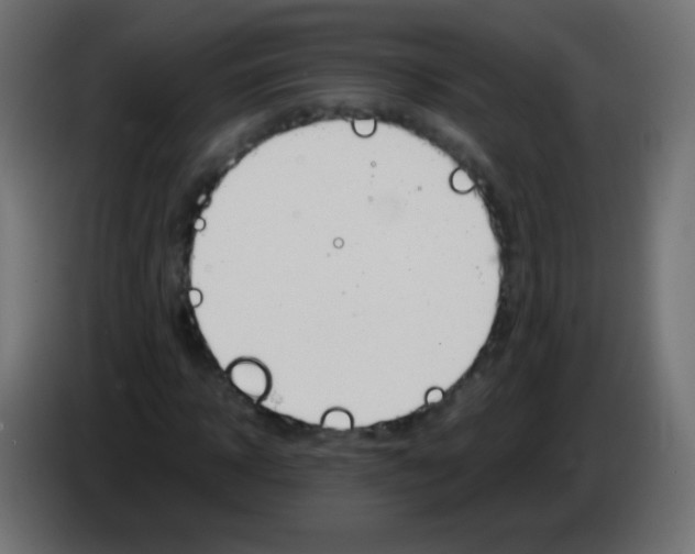 X0000083060918200703022130