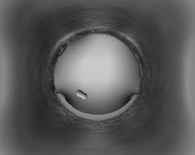 X0000083060920200703022130