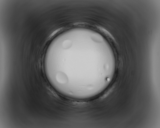 X0000083060921200703022130