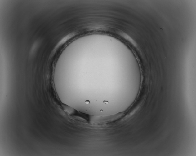 X0000083060922200703022130