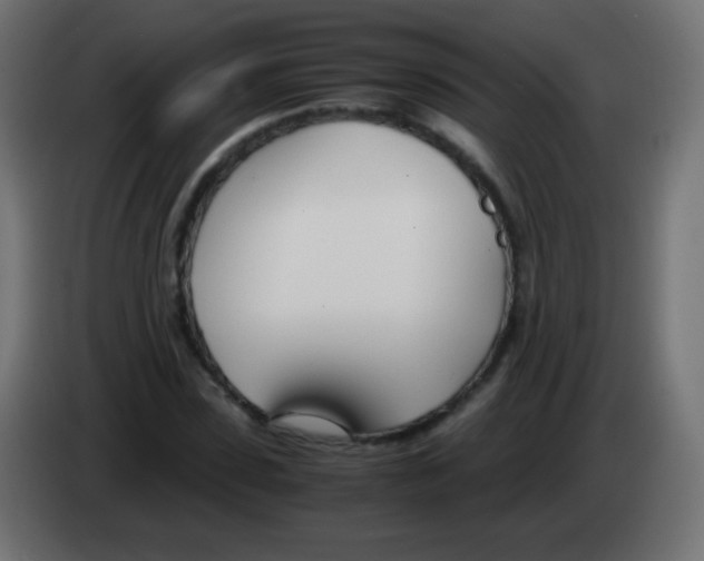 X0000083060923200703022130