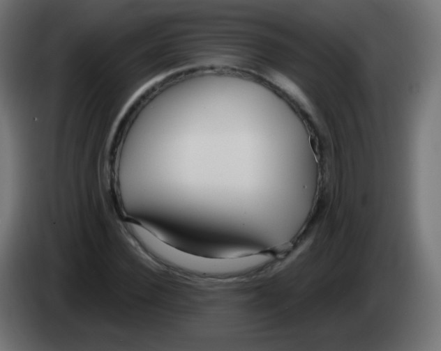 X0000083060924200703022130