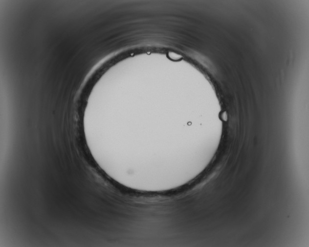 X0000083060926200703022130