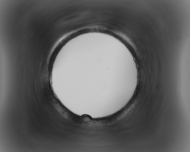 X0000083060927200703022130