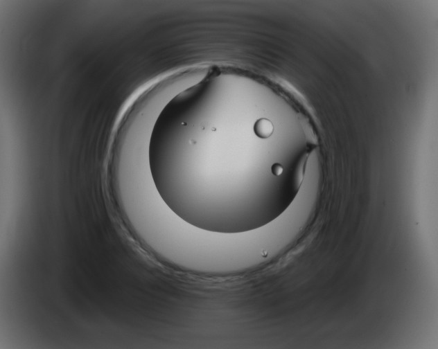 X0000083060928200703022130