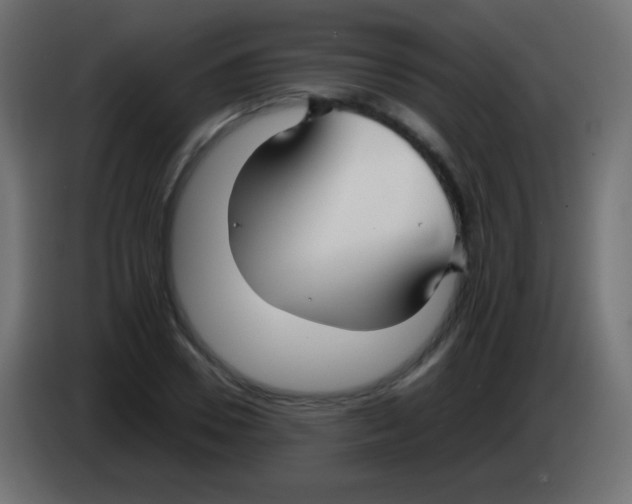 X0000083060930200703022130