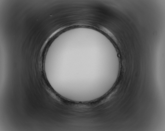 X0000083060931200703022130