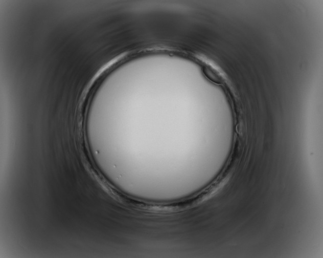 X0000083060933200703022130