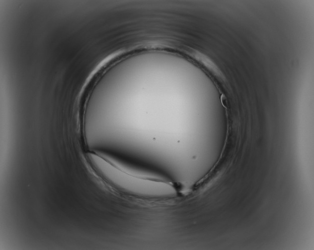 X0000083060934200703022130