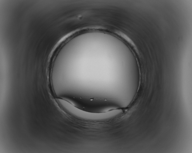 X0000083060935200703022130