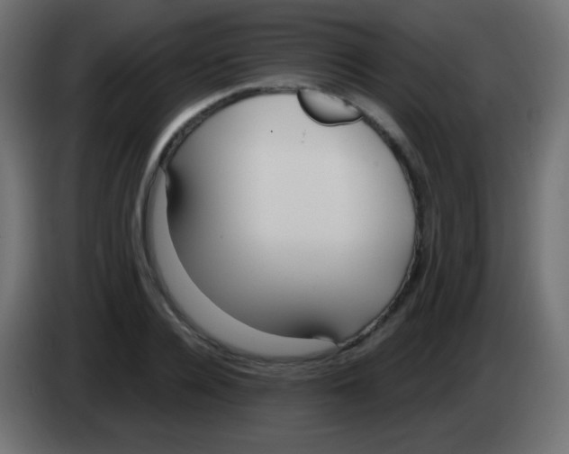 X0000083060936200703022130