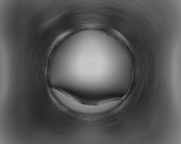 X0000083060938200703022130