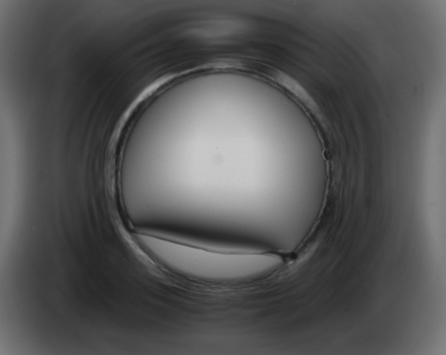 X0000083060939200703022130