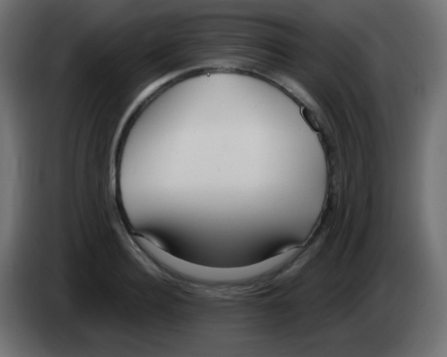 X0000083060940200703022130