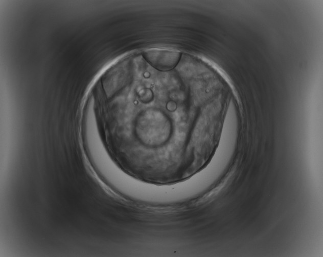 X0000083060941200703022130