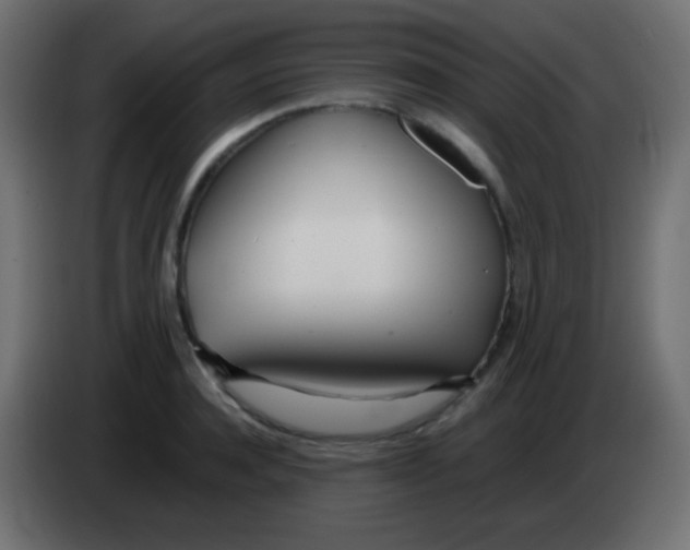 X0000083060944200703022130