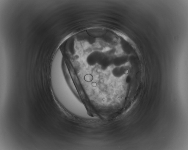 X0000083060945200703022130