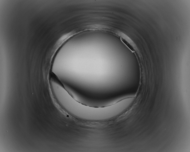 X0000083060946200703022130