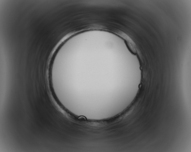 X0000083060947200703022130