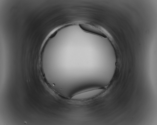 X0000083060948200703022130