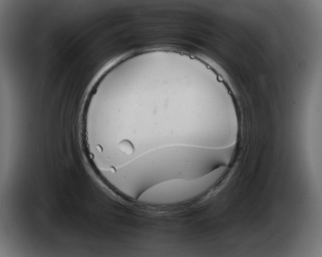 X0000083060949200703022130