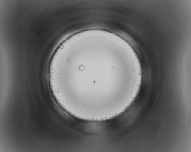 X0000083060950200703022130