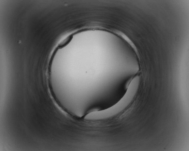 X0000083060951200703022131