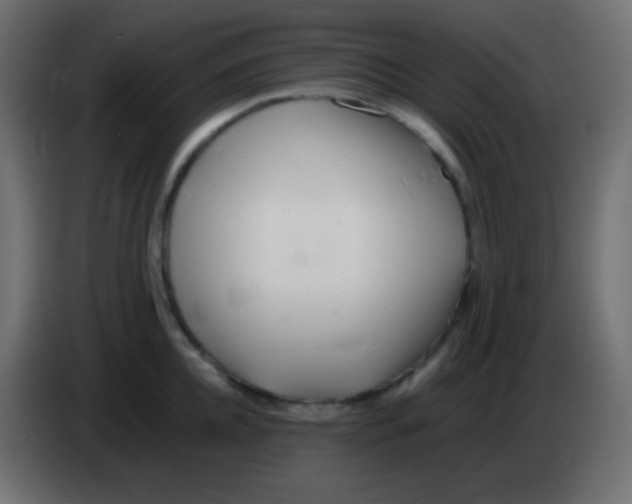 X0000083060952200703022131