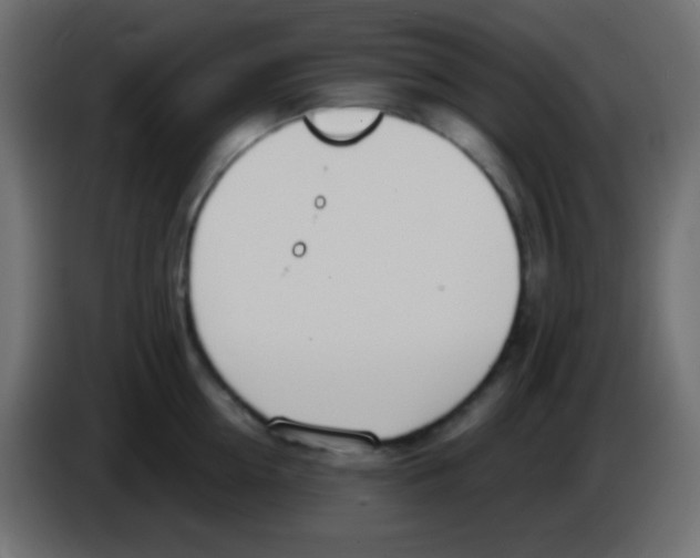 X0000083060954200703022131