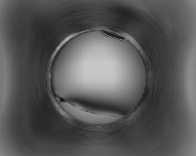 X0000083060955200703022131