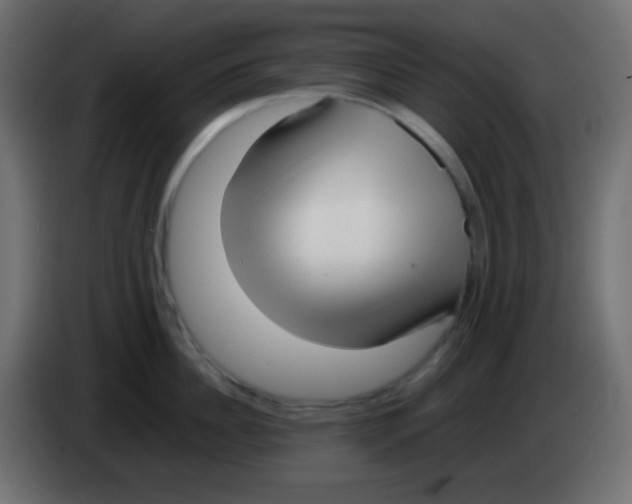 X0000083060956200703022131