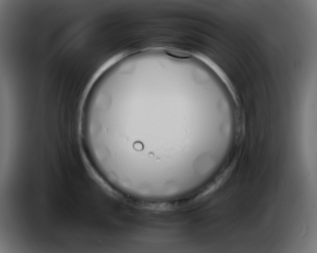 X0000083060957200703022131