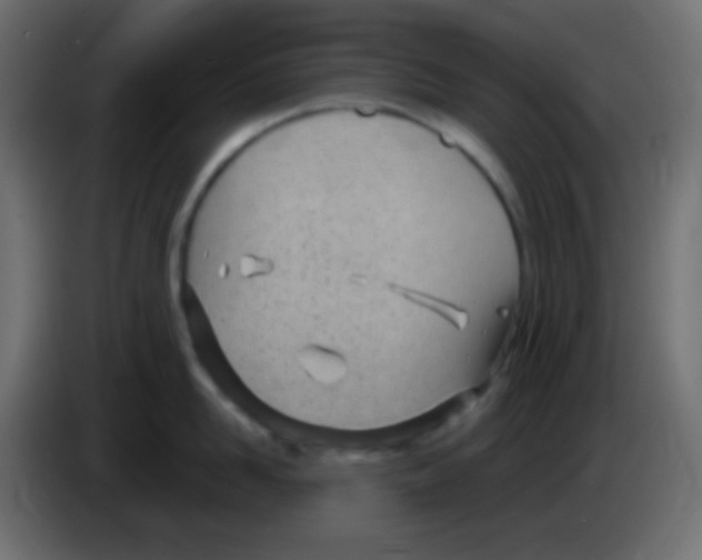 X0000083060958200703022131