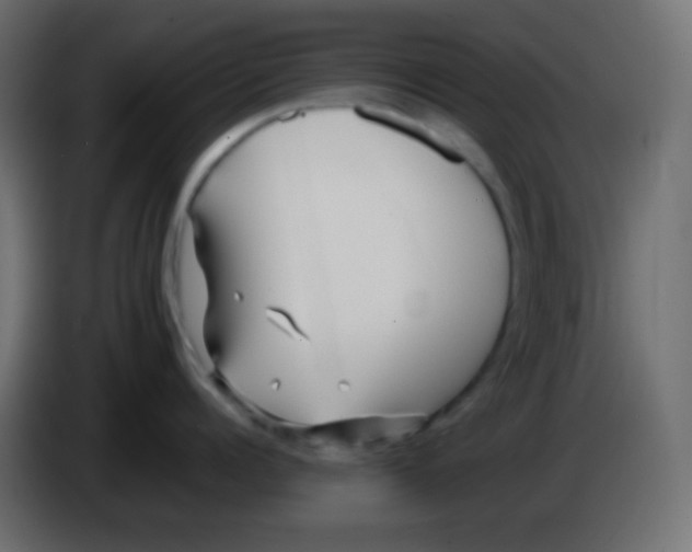 X0000083060960200703022131